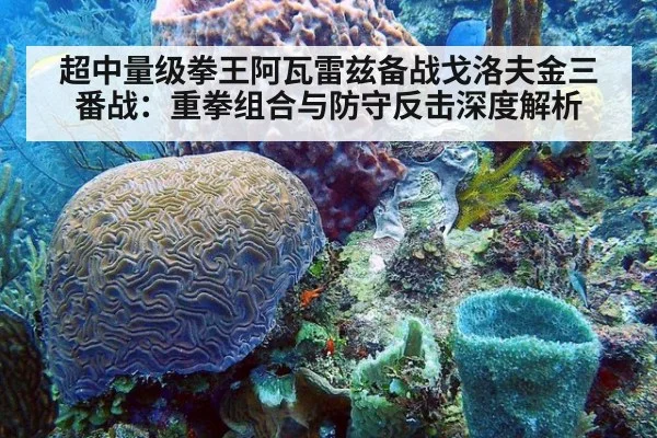 超中量级拳王阿瓦雷兹备战戈洛夫金三番战：重拳组合与防守反击深度解析