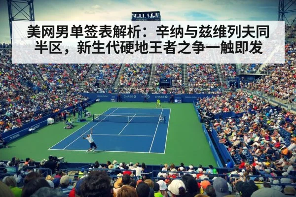 US Open tennis hard court（jiuyouhui）
