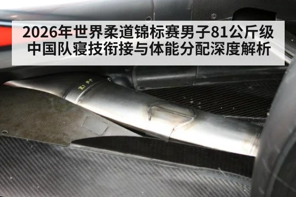2026年世界柔道锦标赛男子81公斤级中国队寝技衔接与体能分配深度解析